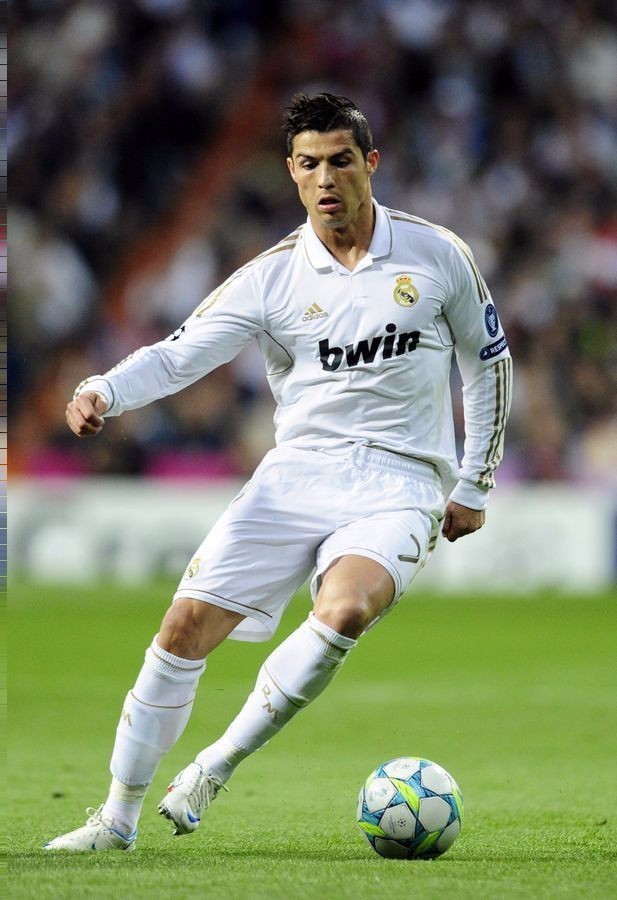 的心理沉着 的心理沉着