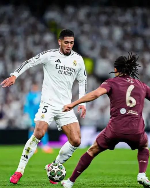 球寻求早期 球寻求早期